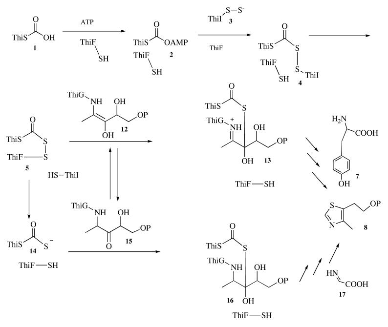 Scheme 2