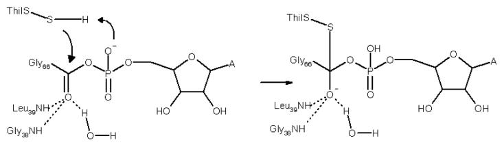 Figure 8