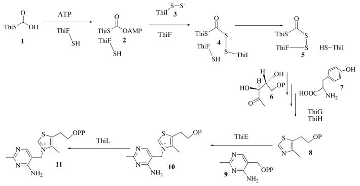 Scheme 1