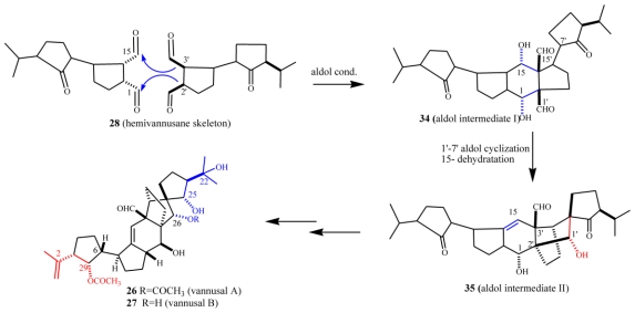 Scheme 10