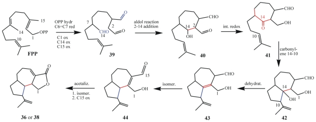 Scheme 12