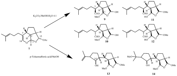 Scheme 3