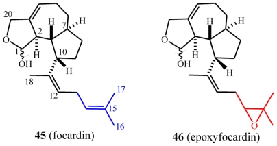 Scheme 13