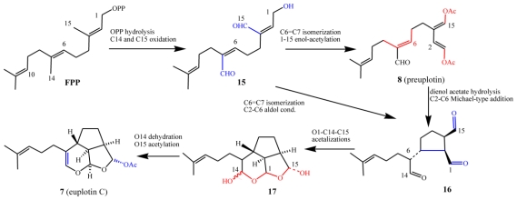 Scheme 4