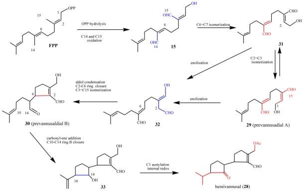 Scheme 9