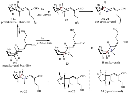 Scheme 6