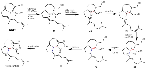 Scheme 15