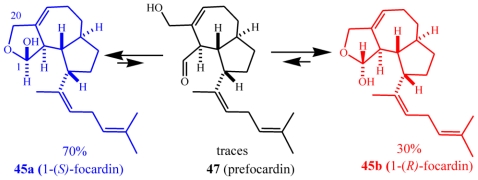 Scheme 14