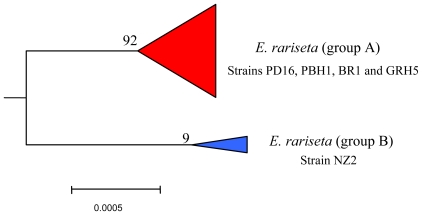 Figure 8