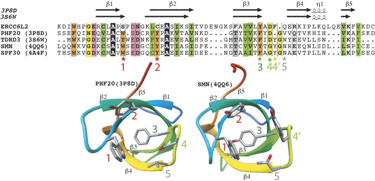 Figure 7.