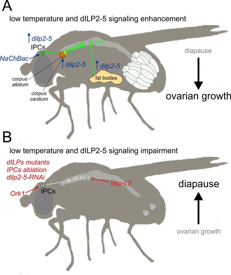 Fig 6