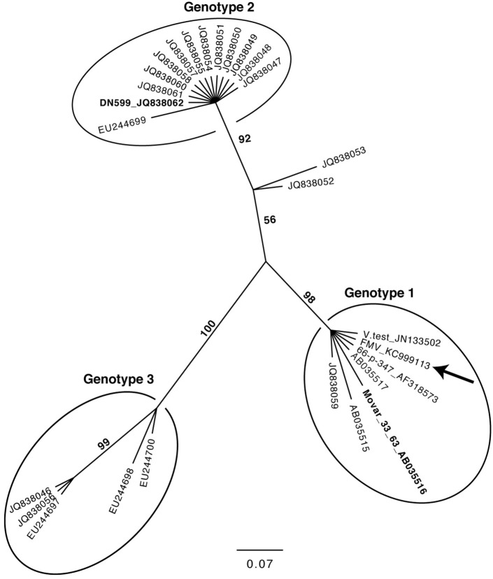 Figure 4