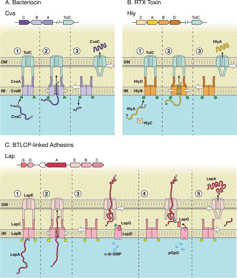 FIG 1