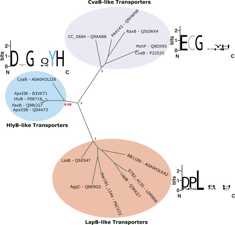 FIG 3