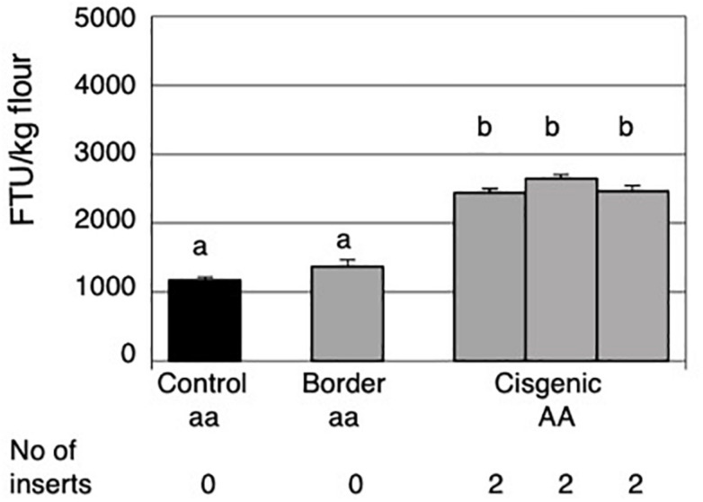 FIGURE 2