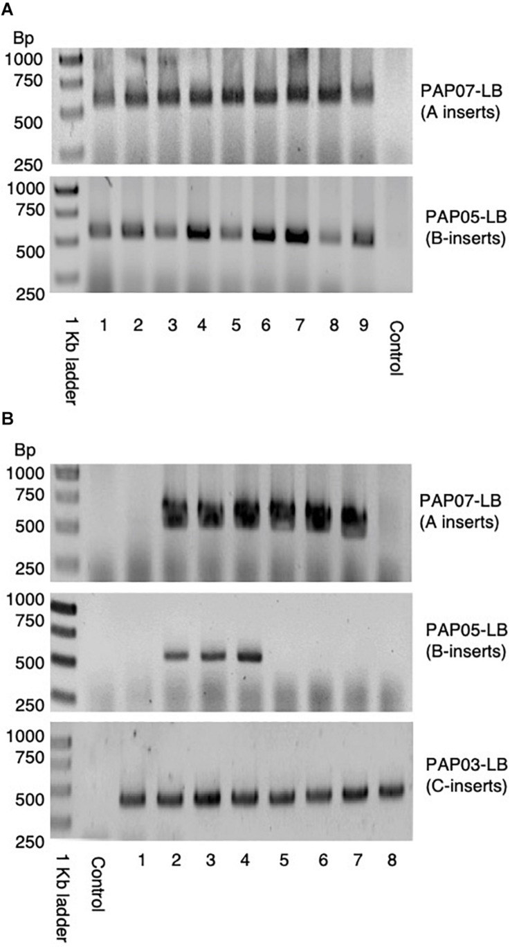 FIGURE 3