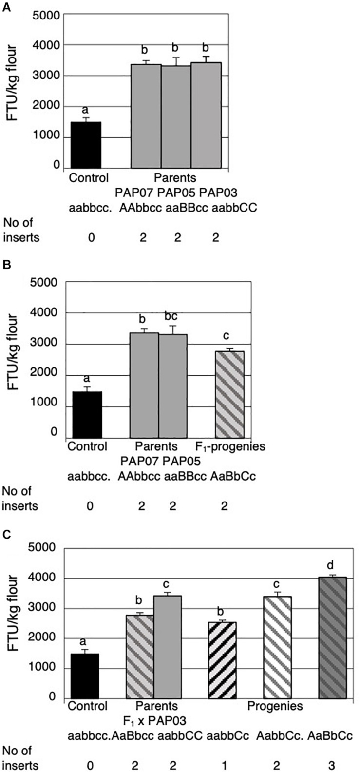 FIGURE 4