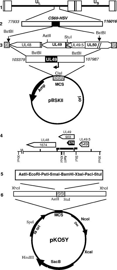 FIG. 1.