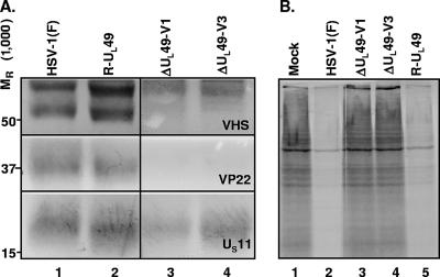 FIG. 7.