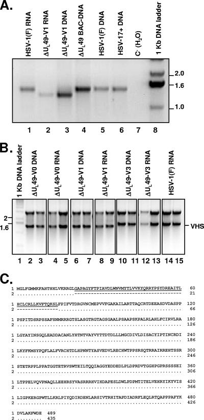 FIG. 6.