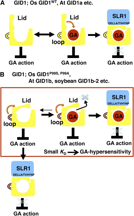 Figure 9.