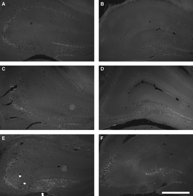 FIG. 7.