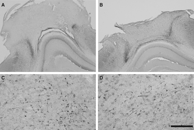 FIG. 10.