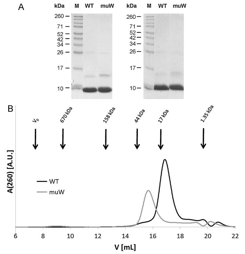 Fig. 5