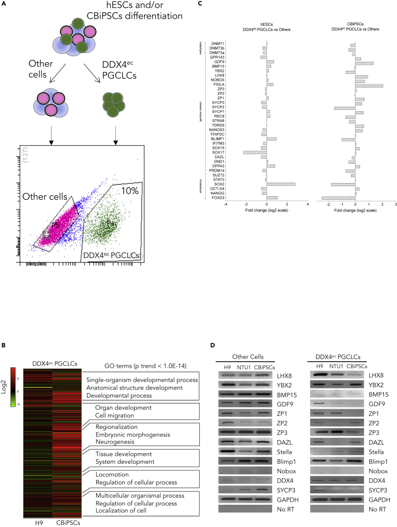 Figure 2