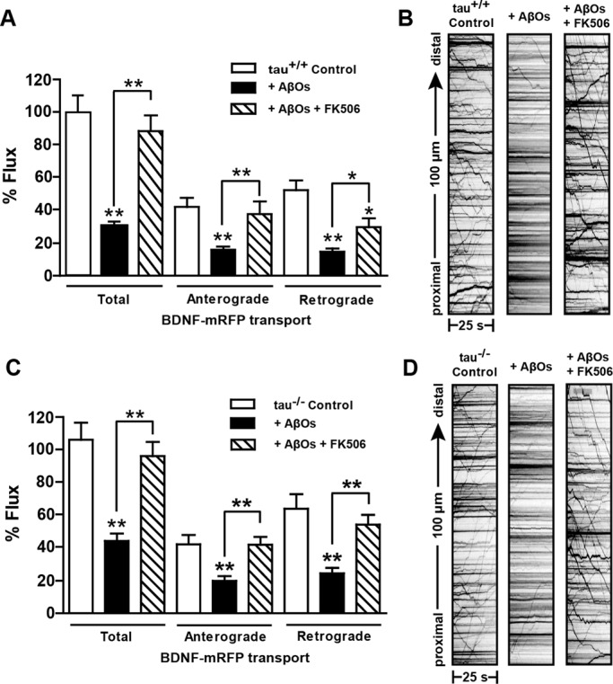 FIGURE 4: