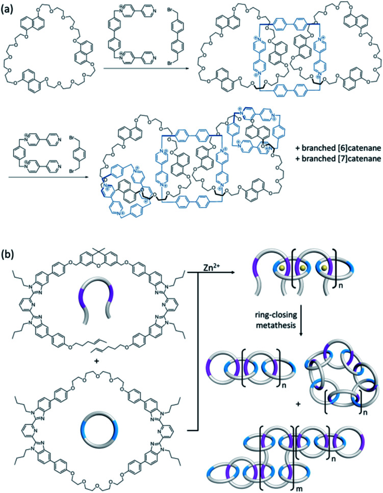 Fig. 10