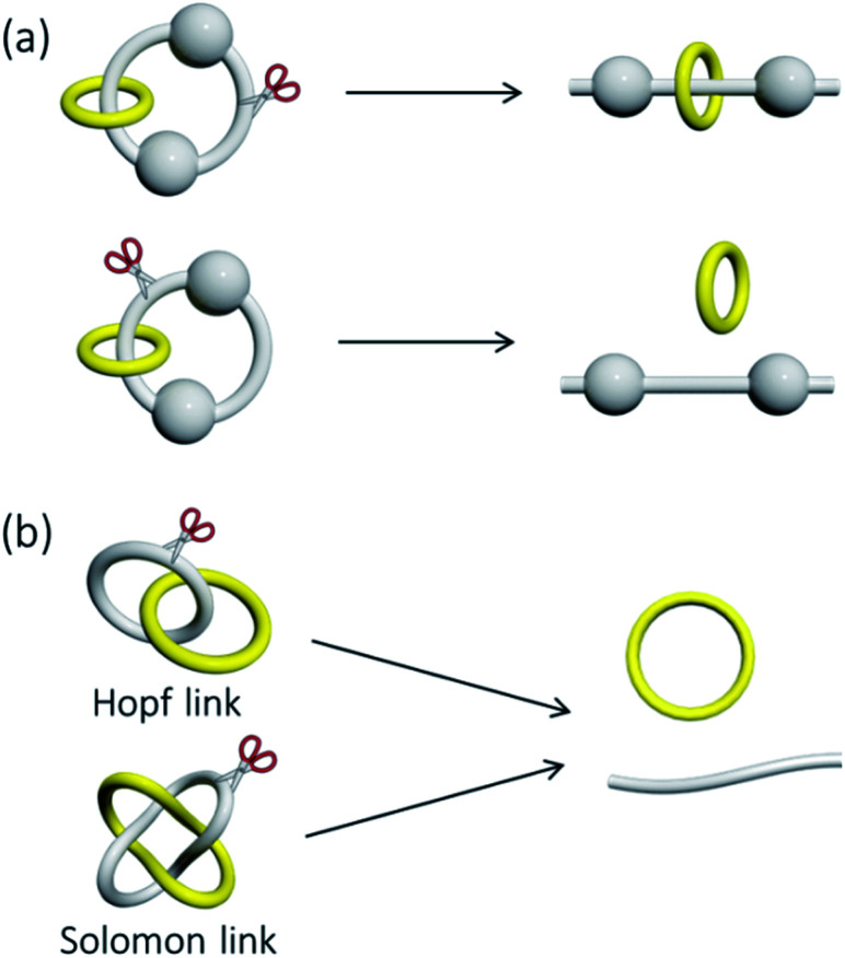 Fig. 11