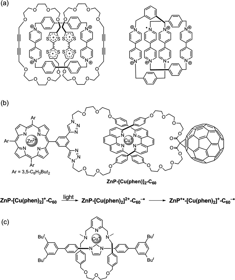 Fig. 18