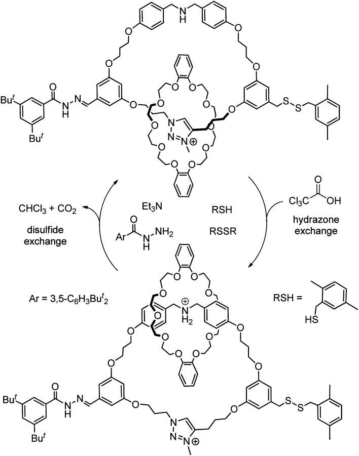 Fig. 15