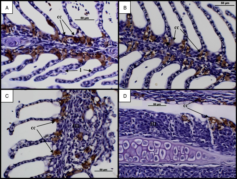 Fig. 5.