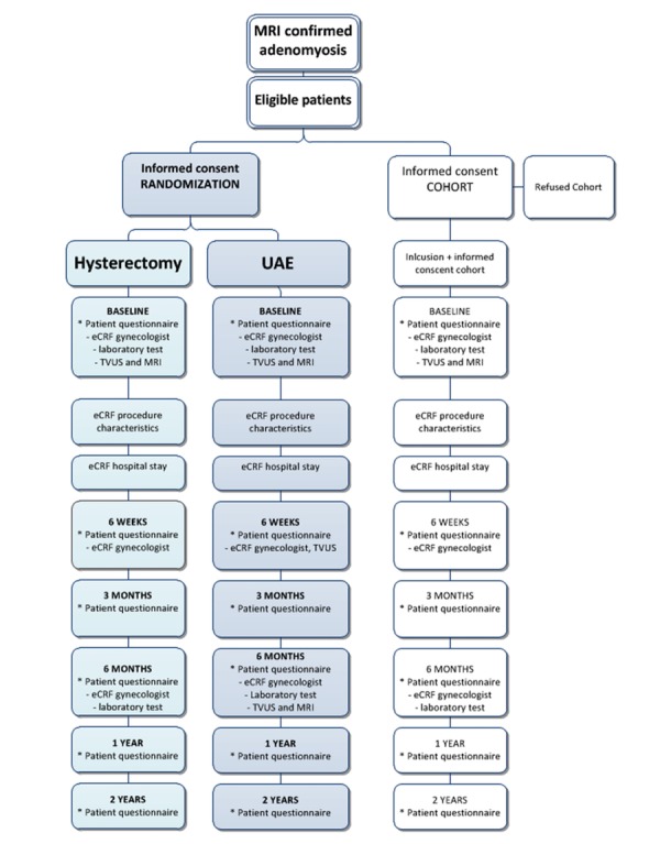 graphic file with name resprot_v7i3e47_fig1.jpg