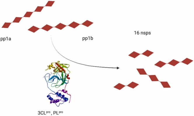 Fig. 9