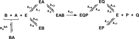 SCHEME 2.