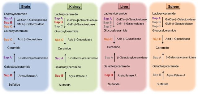 Figure 9.