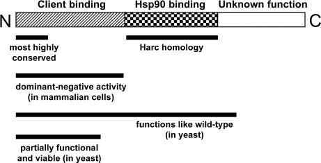 Fig 1.