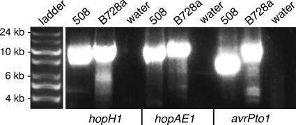 FIG. 6.