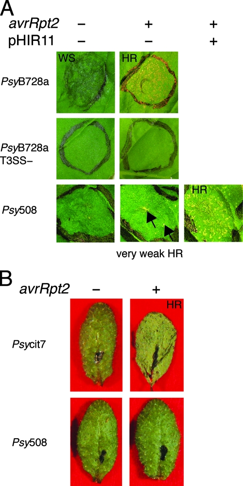 FIG. 7.