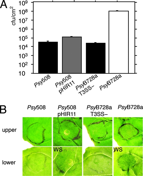 FIG. 8.