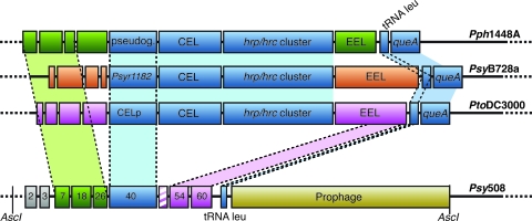 FIG. 5.