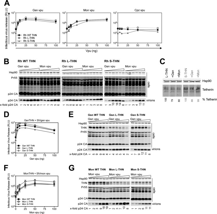 FIG 6