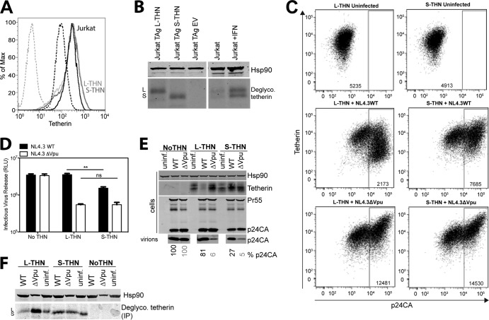 FIG 3