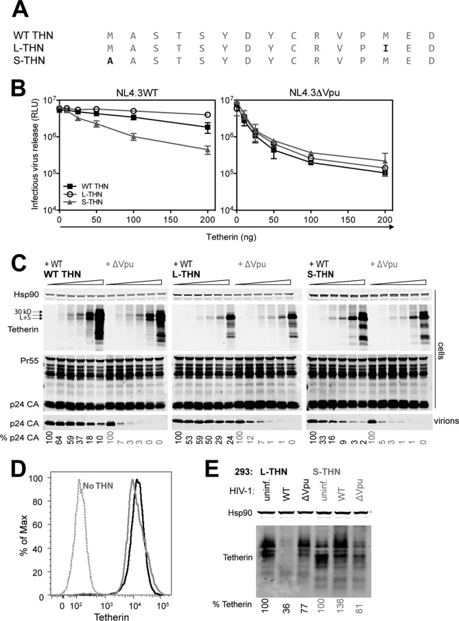 FIG 1