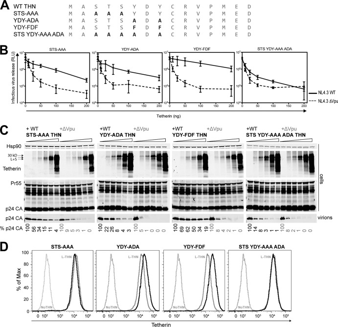 FIG 2