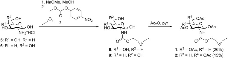 Scheme 2