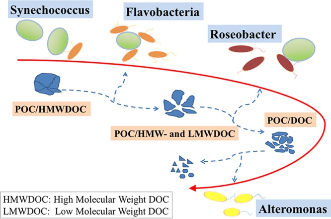 FIG 6